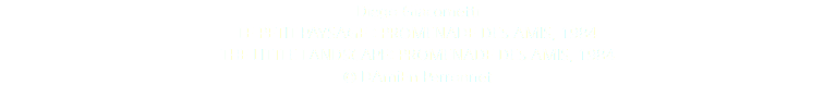 Diego Giacometti LE PETIT PAYSAGE : PROMENADE DES AMIS, 1984 THE LITTLE LANDSCAPE: PROMENADE DES AMIS, 1984 © DAmiEn Perronnet