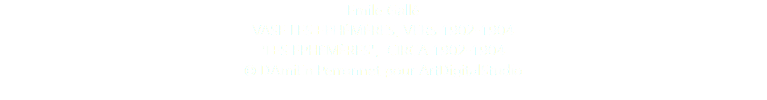 Emile Gallé VASE LES EPHÉMÈRES, VERS 1902-1904 'LES EPHÉMÈRES', CIRCA 1902-1904 © DAmiEn Perronnet pour ArtDigitalStudio 