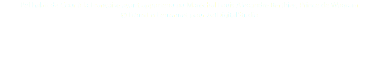 Bel habit de Cour à la Française ayant appartenu au Maréchal Louis Alexandre Berthier, Prince de Wagram © DAmiEn Perronnet pour ArtDigitalStudio 