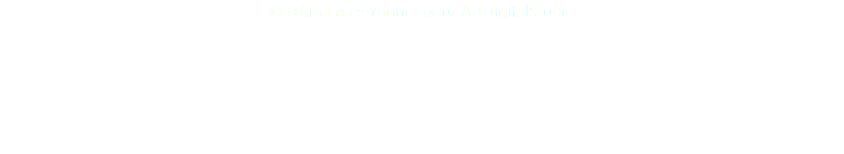 © DAmiEn Perronnet pour ArtDigitalStudio 