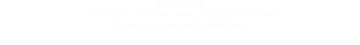 Proust, Marcel DU CÔTÉ DE CHEZ SWANN. PARIS, BERNARD GRASSET, 1913. © DAmiEn Perronnet pour ArtDigitalStudio 