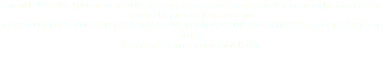 Ensemble d'assiettes et plats en vermei, Italie, vers 1940, les assiettes et plats insculpes de poincons anglais apocryphes, le service a the par Furst, Rome, vers 1940 A SET OF ITALIAN SILVER-GILT PLATES AND DISHES, MODERN, PLATES AND DISHES WITH ENGLISH SPURIOUS MARKS © DAmiEn Perronnet pour ArtDigitalStudio 