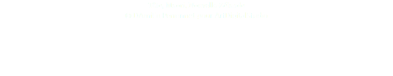 Tête, Maori, Nouvelle-Zélande © DAmiEn Perronnet pour ArtDigitalStudio