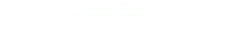 Cuillère, Punu-Lumbo, Gabon PUNU-LUMBO SPOON, GABON © DAmiEn Perronnet pour ArtDigitalStudio 