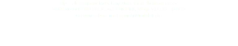 Figure de reliquaire byeri, Fang Mvaï, Vallée du Ntem, Gabon FANG MVAI BYERI RELIQUARY FIGURE, NTEM VALLEY, GABON © DAmiEn Perronnet pour ArtDigitalStudio 