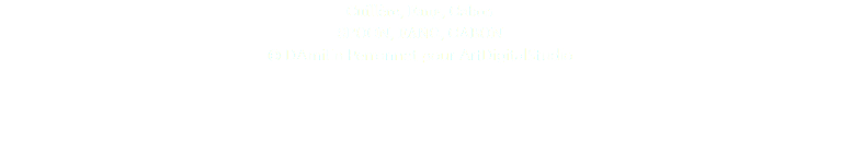 Cuillère, Fang, Gabon SPOON, FANG, GABON © DAmiEn Perronnet pour ArtDigitalStudio