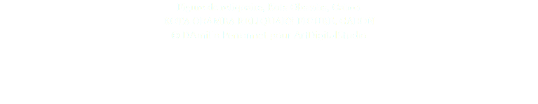 Figure de reliquaire, Kota Obamba, Gabon KOTA OBAMBA RELIQUARY FIGURE, GABON © DAmiEn Perronnet pour ArtDigitalStudio 