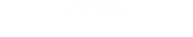 Masque, Punu, Gabon PUNU MASK, GABON © DAmiEn Perronnet pour ArtDigitalStudio 