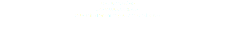 Tête, Fang, Gabon FANG HEAD, GABON © DAmiEn Perronnet pour ArtDigitalStudio 