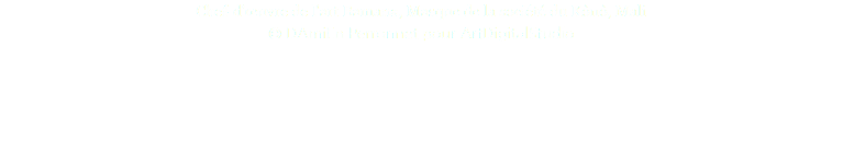 Chef-d'œuvre de l'art Bamana, Masque de la société du Kònò, Mali © DAmiEn Perronnet pour ArtDigitalStudio