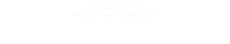 Tête, Fang Betsi, Gabon FANG BETSI HEAD, GABON © DAmiEn Perronnet pour ArtDigitalStudio 