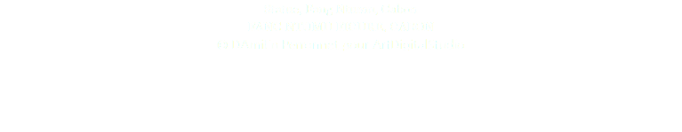 Statue, Fang Ntumu, Gabon FANG NTUMU FIGURE, GABON © DAmiEn Perronnet pour ArtDigitalStudio