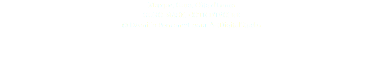 Masque, Guro, Côte d'Ivoire GURO MASK, CÔTE D'IVOIRE © DAmiEn Perronnet pour ArtDigitalStudio 