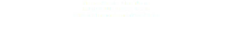 Masque d'épaules, Jukun, Nigeria JUKUN SHOULDER MASK, NIGERIA © DAmiEn Perronnet pour ArtDigitalStudio