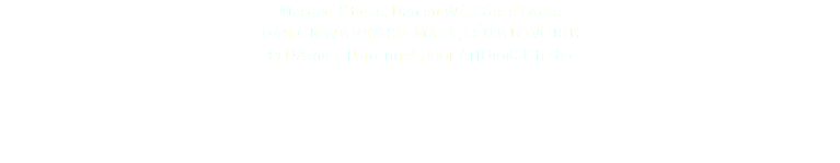 Masque-fétiche, Dan ou Wé, Côte d'Ivoire DAN OR WE FETISH-MASK, CÔTE D'IVOIRE © DAmiEn Perronnet pour ArtDigitalStudio 