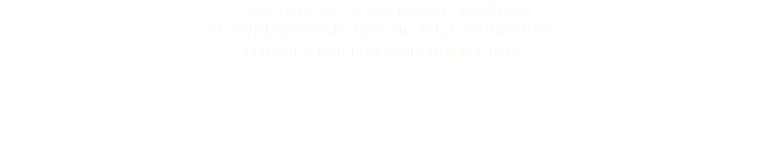 Figure de reliquaire, Kota Ndasa, Gabon/Congo KOTA/NDASA RELIQUARY FIGURE, GABON/CONGO © DAmiEn Perronnet pour ArtDigitalStudio 