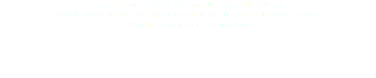 Figure de proue, Îles Centrales, Nouvelle-Géorgie, Îles Salomon CANOE PROW FIGURE, CENTRAL ISLANDS, NEW GEORGIA, SOLOMON ISLANDS © DAmiEn Perronnet pour ArtDigitalStudio 