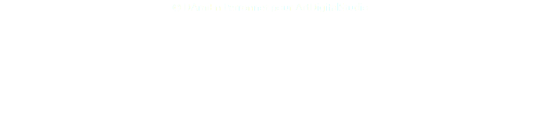 © DAmiEn Perronnet pour ArtDigitalStudio