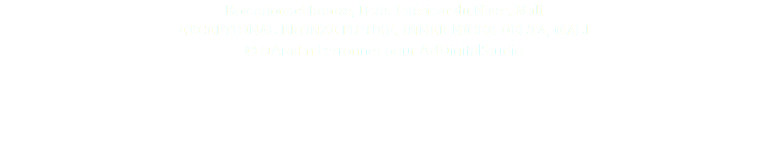 Exceptionnel bronze, Delta Intérieur du Niger, Mali EXCEPTIONAL BRONZE FIGURE, INNER NIGER DELTA, MALI © DAmiEn Perronnet pour ArtDigitalStudio 