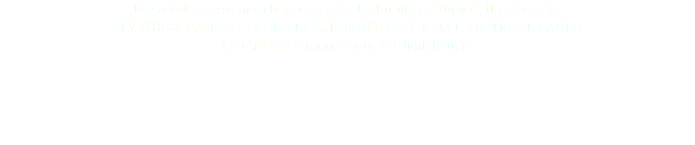 Poignée de chasse-mouches tahiri ra'a, Îles Rurutu ou Tupua’i, Îles Australes FLY WHISK HANDLE, TAHIRI RA'A, RURUTU OR TUPUA’I, AUSTRAL ISLANDS © DAmiEn Perronnet pour ArtDigitalStudio 