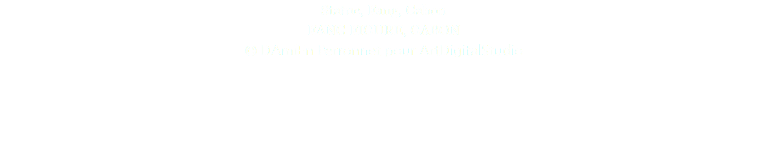 Statue, Fang, Gabon FANG FIGURE, GABON © DAmiEn Perronnet pour ArtDigitalStudio 