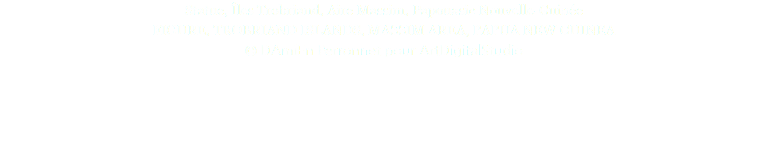 Statue, Îles Trobriand, Aire Massim, Papouasie Nouvelle-Guinée FIGURE, TROBRIAND ISLANDS, MASSIM AREA, PAPUA NEW GUINEA © DAmiEn Perronnet pour ArtDigitalStudio 