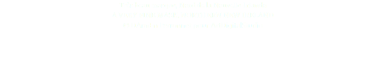 Très beau masque, Nord de la Nouvelle-Irlande A VERY FINE MASK, NORTHERN NEW IRELAND © DAmiEn Perronnet pour ArtDigitalStudio 