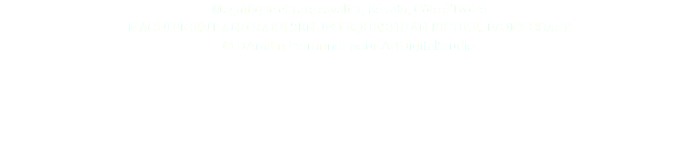 Magnifique et rare cavalier, Sénufo, Côte d'Ivoire MAGNIFICENT AND RARE SENUFO EQUESTRIAN FIGURE, IVORY COAST © DAmiEn Perronnet pour ArtDigitalStudio 