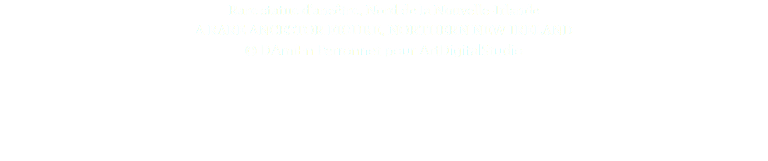 Rare statue d'ancêtre, Nord de la Nouvelle-Irlande A RARE ANCESTOR FIGURE, NORTHERN NEW IRELAND © DAmiEn Perronnet pour ArtDigitalStudio 