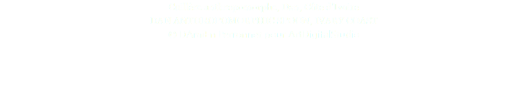 Cuillère anthropomorphe, Dan, Côte d'Ivoire DAN ANTHROPOMORPHIC SPOON, IVARY COAST © DAmiEn Perronnet pour ArtDigitalStudio 