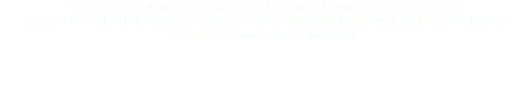 Portraits du roi Pokam et de la Reine Yugang, Royaume de Batoufam, Bamiléké, Cameroun PORTRAITS OF KING POKAM AND OF QUEEN YUGANG, BATOUFAM KINGDOM, BAMILEKE, CAMEROON © DAmiEn Perronnet pour ArtDigitalStudio 