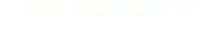 Tambour cérémoniel, Lac Sentani, Province de Papouasie Occidentale, Indonésie (ex-Irian Jaya) CEREMONIAL DRUM, LAKE SENTANI, WEST PAPUA PROVINCE, INDONESIA (EX IRIAN JAYA) © DAmiEn Perronnet pour ArtDigitalStudio 