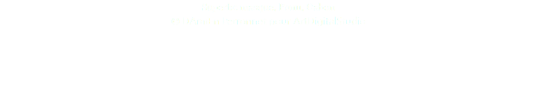 Superbe masque, Punu, Gabon © DAmiEn Perronnet pour ArtDigitalStudio