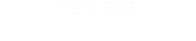 Très belle statue, Nord de la Nouvelle-Irlande A VERY FINE MALANGAN FIGURE, NORTHEN NEW IRELAND © DAmiEn Perronnet pour ArtDigitalStudio 