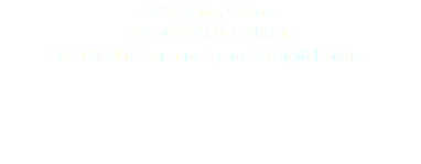 Tête, Fang, Gabon FANG HEAD, GABON © DAmiEn Perronnet pour ArtDigitalStudio 