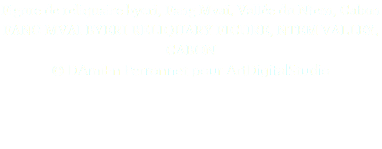 Figure de reliquaire byeri, Fang Mvaï, Vallée du Ntem, Gabon FANG MVAI BYERI RELIQUARY FIGURE, NTEM VALLEY, GABON © DAmiEn Perronnet pour ArtDigitalStudio 