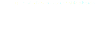 © DAmiEn Perronnet pour ArtDigitalStudio