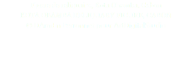 Figure de reliquaire, Kota Obamba, Gabon KOTA OBAMBA RELIQUARY FIGURE, GABON © DAmiEn Perronnet pour ArtDigitalStudio 