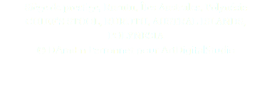 Siège de prestige, Rurutu, Îles Australes, Polynésie CHIEF’S STOOL, RURUTU, AUSTRAL ISLANDS, POLYNESIA © DAmiEn Perronnet pour ArtDigitalStudio 