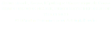 Statue nkonde, Kongo, République Démocratique du Congo KONGO NKONDE FIGURE, DEMOCRATIC REPUBLIC OF THE CONGO © DAmiEn Perronnet pour ArtDigitalStudio 