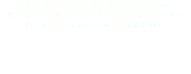 Figure de reliquaire, Kota Ndasa, Gabon/Congo KOTA/NDASA RELIQUARY FIGURE, GABON/CONGO © DAmiEn Perronnet pour ArtDigitalStudio 