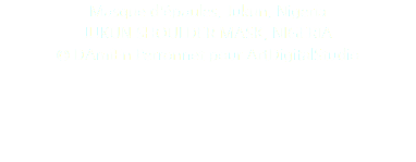 Masque d'épaules, Jukun, Nigeria JUKUN SHOULDER MASK, NIGERIA © DAmiEn Perronnet pour ArtDigitalStudio