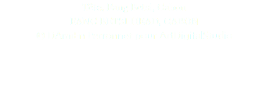 Tête, Fang Betsi, Gabon FANG BETSI HEAD, GABON © DAmiEn Perronnet pour ArtDigitalStudio 