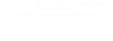 Le Trésor de Pouilly-sur-Meuse, Tresor national, Musée Lorrain de Nancy © DAmiEn Perronnet pour ArtDigitalStudio