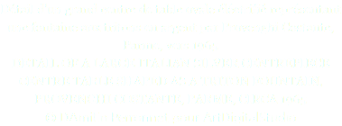 Détail d’un grand centre de table ovale éléctrifié représentant une fontaine aux tritons en argent par Provenghi Costante, Parme, vers 1965 DETAIL OF A LARGE ITALIAN SILVER CENTREPIECE CENTRE TABLE SHAPED AS A TRITON FOUNTAIN, PROVENGHI COSTANTE, PARME, CIRCA 1965 © DAmiEn Perronnet pour ArtDigitalStudio 