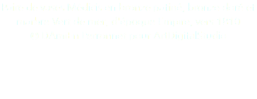 Paire de vases Médicis en bronze patiné, bronze doré et marbre Vert de mer, d'époque Empire, vers 1810 © DAmiEn Perronnet pour ArtDigitalStudio 