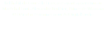 Bel habit de Cour à la Française ayant appartenu au Maréchal Louis Alexandre Berthier, Prince de Wagram © DAmiEn Perronnet pour ArtDigitalStudio 